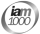 Компания iam 100